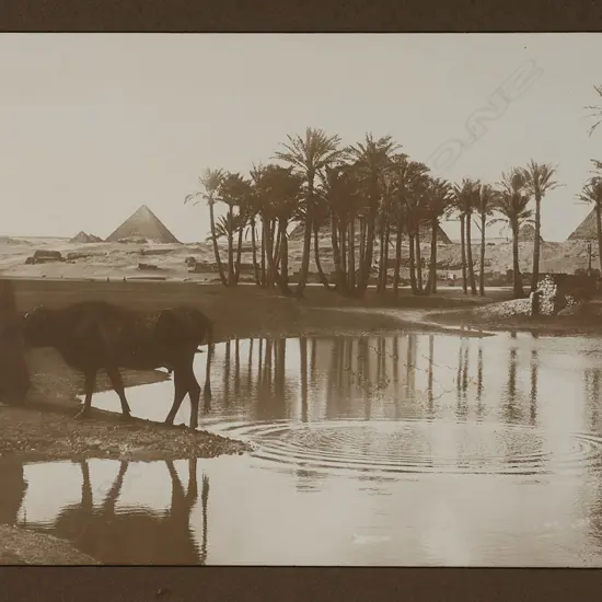 Gabriel Lekegian (1853-1920) 'Camels watering at an Egyptian oasis',